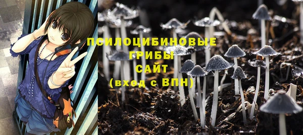 хмурый Абинск