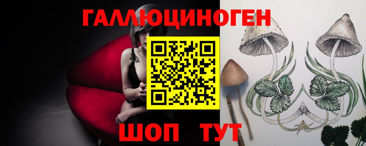 Псилоцибиновые грибы GOLDEN TEACHER  Галлюциногенные грибы ЛСД  Вход с VPN  Усть-Илимск 